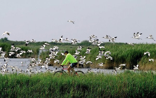 Escursioni in bicicletta: Bed and Breakfast Delta del Po