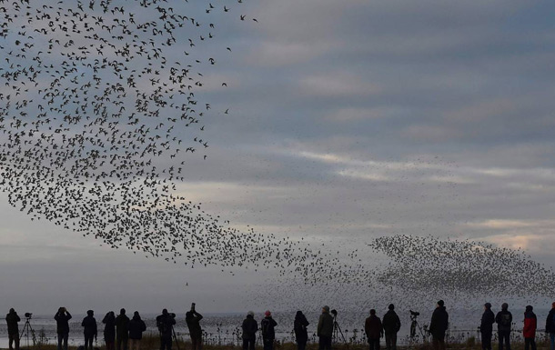 Birdwatching: Bed and Breakfast Delta del Po